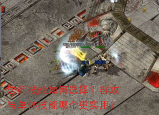 ��ʦ�������ѡ��Ⱥ���뵥�弼���ĸ���ʵ�ã�