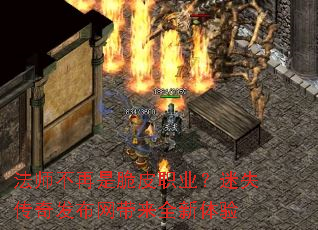 ��ʦ�����Ǵ�Ƥְҵ����ʧ���淢��������ȫ������