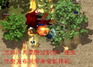 ��ʦ�����Ǵ�Ƥְҵ����ʧ���淢��������ȫ������