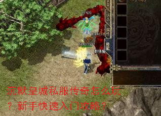 ��Ĭ�ʳ�˽��������ô�棿���ֿ������Ź��ԣ�