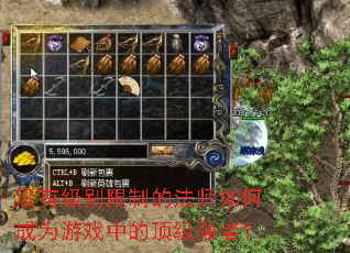 û�м������Ƶķ�ʦ��γ�Ϊ��Ϸ�еĶ���ǿ�ߣ�