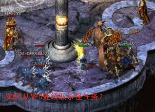 ��δ�NPC����ȡɱ������