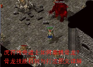 ���������ʿ��ε����������������ܻ������ͼ�����