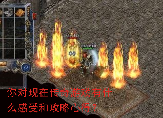 ������ڴ�����Ϸ��ʲô���ܺ͹����ĵã�