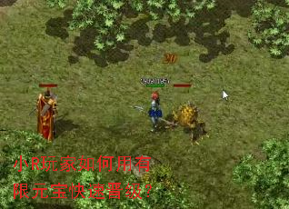 小R玩家如何用有限元宝快速晋级? 小R玩家如何用有限元宝快速晋级?