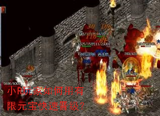 СR������������Ԫ�����ٽ�����