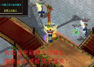 �ϻ���������ֶ���������Щ��������Ч����ߣ�