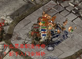 ʲô�ǵ�ְҵ���棿��������ȫ����