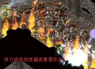 �����ɹ��Ĺؼ�������ʲô��