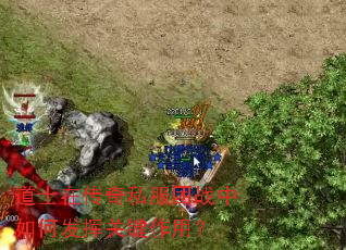 道士在传奇私服团战中如何发挥关键作用? 道士在传奇私服团战中如何发挥关键作用?