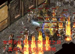 ���ǰ����Ѫ��������֮·��ڤ���б䴫��·�߹���