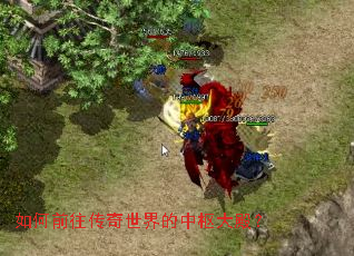 ���ǰ����������������