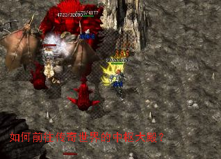 ���ǰ����������������