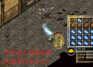 �����ʿ������ο�������ս������