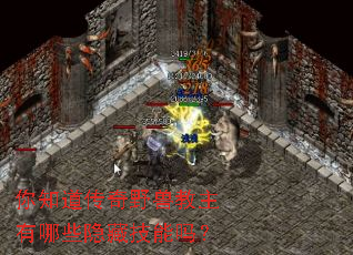 你知道传奇野兽教主有哪些隐藏技能吗? 你知道传奇野兽教主有哪些隐藏技能吗?
