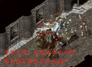 ������ƣ�õ�崫���������ָ������Щ�������⣿