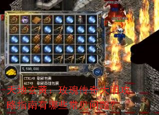 ������ƣ�õ�崫���������ָ������Щ�������⣿