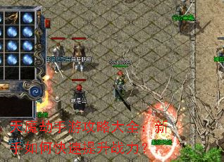 ��ħ�����ι��Դ�ȫ��������ο�������ս����