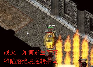 ս�������������Ӣ�����������תָ��