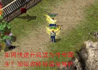 ��ο���������Ϊ������������������ؼ�ȫ����