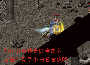 ��ο�������SF�ϻ����Ϸ�������С�ױؿ�����