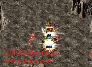 ��ο���������ְҵ�������ν�ɫս����