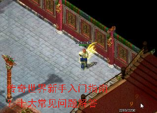 ����������������ָ�ϣ�ʮ�󳣼�������