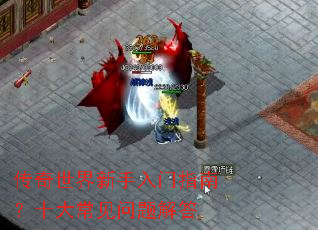 ����������������ָ�ϣ�ʮ�󳣼�������