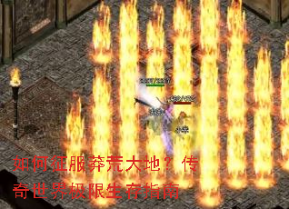 �������ç�Ĵ�أ��������缫������ָ��