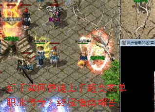 ������ο������ֳ���̬��ְҵ���棿�ռ�ָ�Ͻ��