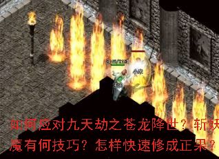 ���Ӧ�Ծ����֮����������ն����ħ�кμ��ɣ����������޳�������