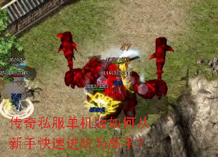 ����˽����������δ����ֿ��ٽ���Ϊ���֣�