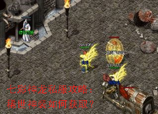 �߲�����˽�����ԣ�ϡ����װ��λ�ȡ��