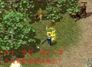 սʿ����ʦ����ʿ���ĸ�����ְҵ���ʺ��㣿