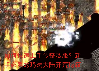 ��ο������ִ���˽�������ֱؿ����귨��½�����ؼ�