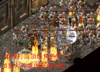 如何打造顶级角色?18禁人养成传奇全攻略 如何打造顶级角色?18禁人养成传奇全攻略