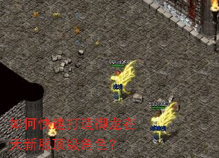 如何快速打造御龙在天新服顶级角色? 如何快速打造御龙在天新服顶级角色?