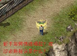 ������ο������𣿹�ɳ��ʤ�ؾ���ʲô��