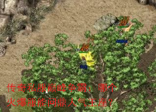 ����˽���۷����ԣ��ĸ��𱬷����ʶ�����������