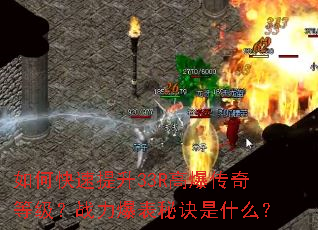 ��ο�������33R�߱�����ȼ���ս�������ؾ���ʲô��