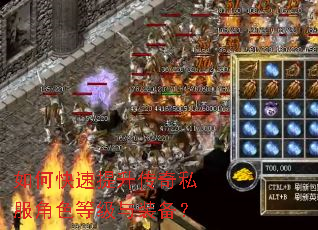 ��ο�����������˽����ɫ�ȼ���װ����