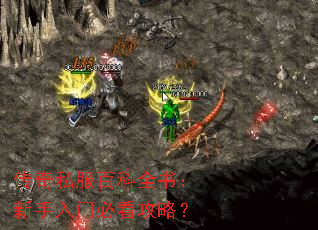 传奇私服百科全书:新手入门必看攻略? 传奇私服百科全书:新手入门必看攻略?