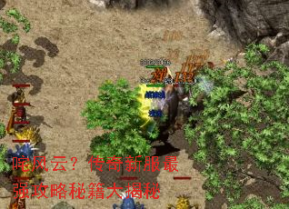 咤风云?传奇新服最强攻略秘籍大揭秘 咤风云?传奇新服最强攻略秘籍大揭秘