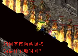 ������վ�Ӣ��������ˢ��ʱ�䣿