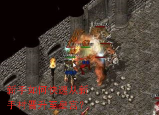 ������ο��ٴ����ִ�������ʹ���