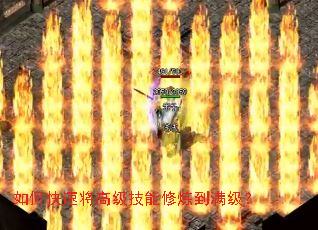 ��ο��ٽ��߼�����������������