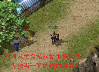 如何从传奇私服新手快速成长为独当一面的热血老兵? 如何从传奇私服新手快速成长为独当一面的热血老兵?