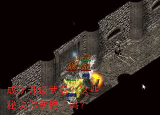 �ɹ�������������Щ�ؾ�����������