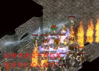 ��ο����������ٵ�ְҵ��ɫ��ս������