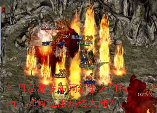 ����˽����������������ָ�ϣ���������귩��½��